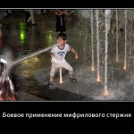 mifr_sterj348256
